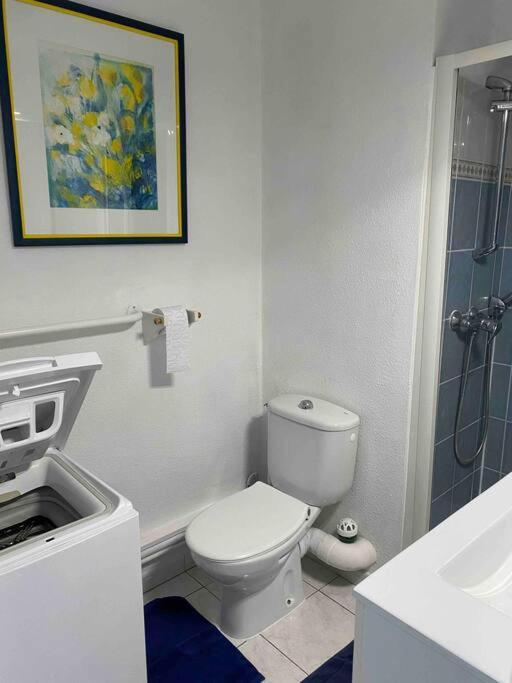 Appartement Dans Piscine 500m De La 2** *